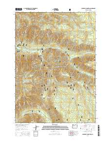 Chucksney Mountain 2014 topographic map thumbnail