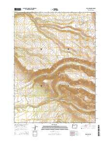 Fish Lake 2014 topographic map thumbnail