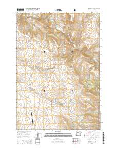 Flowers Gulch 2014 topographic map thumbnail