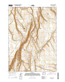 Flybee Lake 2014 topographic map thumbnail
