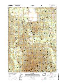 Fuego Mountain 2014 topographic map thumbnail