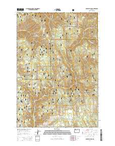 Drumhill Ridge 2014 topographic map thumbnail