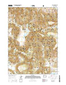 Dog Lake 2014 topographic map thumbnail
