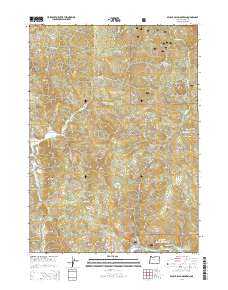 Brushy Bald Mountain 2014 topographic map thumbnail