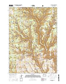 Buck Spring 2014 topographic map thumbnail