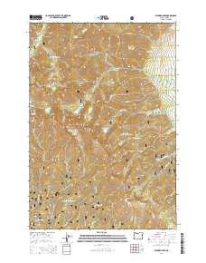 Elkhorn Peak 2014 topographic map thumbnail