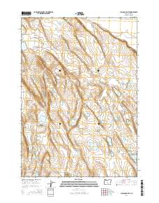 Chicago Valley 2014 topographic map thumbnail