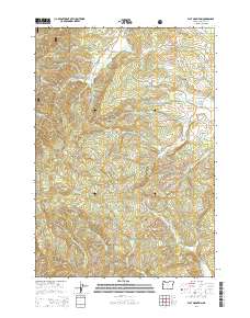 Flat Mountain 2014 topographic map thumbnail
