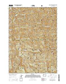 Chilcoot Mountain 2014 topographic map thumbnail