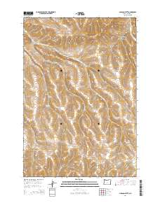Gleason Butte 2014 topographic map thumbnail