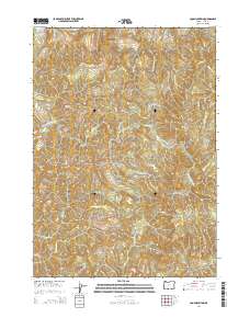 Coos Mountain 2014 topographic map thumbnail