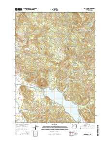 Dorena Lake 2014 topographic map thumbnail