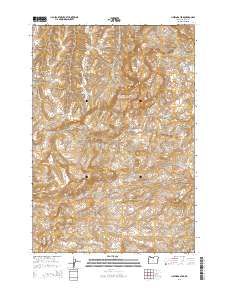 Hastings Peak 2014 topographic map thumbnail