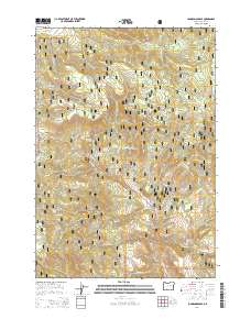 Johnson Saddle 2014 topographic map thumbnail