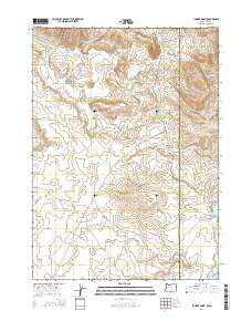 Juniper Point 2014 topographic map preview