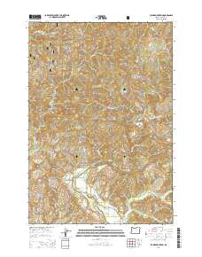 Euchre Mountain 2014 topographic map thumbnail