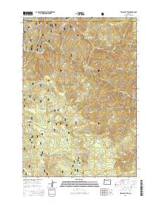 Kelsay Butte 2014 topographic map thumbnail