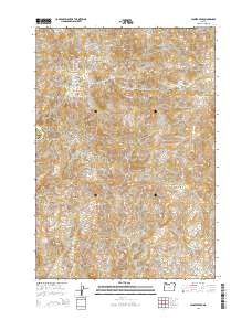 Jennies Peak 2014 topographic map thumbnail
