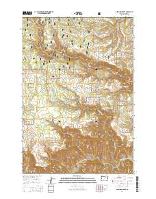 Deerhorn Creek 2014 topographic map thumbnail