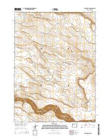 Dry Creek Rim 2014 topographic map thumbnail