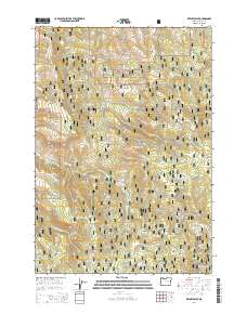 Keeney Point 2014 topographic map thumbnail