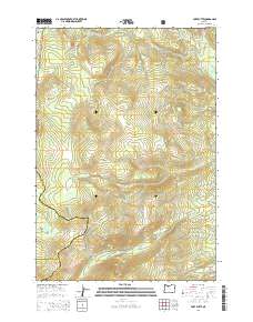 Fort Butte 2014 topographic map thumbnail