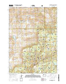 Delintment Lake 2014 topographic map thumbnail