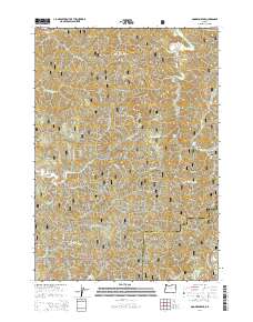 Goodwin Peak 2014 topographic map thumbnail