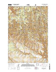 McIntyre Creek 2014 topographic map thumbnail