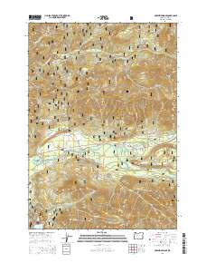 McKenzie Bridge 2014 topographic map thumbnail