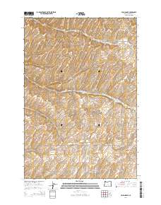 Holdman SE 2014 topographic map thumbnail