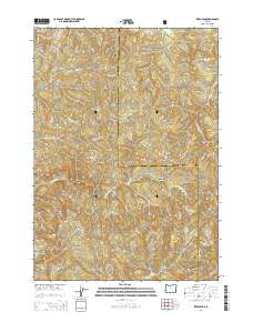 Ivers Peak 2014 topographic map thumbnail