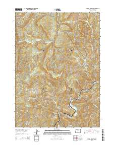 Live Oak Mountain 2014 topographic map thumbnail