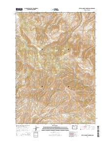 Little Lookout Mountain 2014 topographic map thumbnail