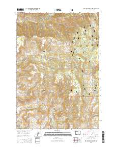 Meadow Brook Summit 2014 topographic map thumbnail