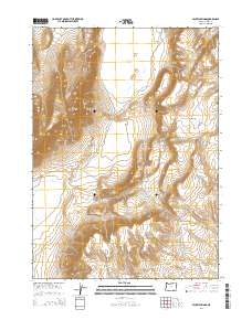 Mickey Springs 2014 topographic map thumbnail