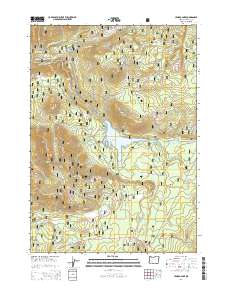 Lemolo Lake 2014 topographic map thumbnail