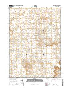 Iron Mountain 2014 topographic map thumbnail