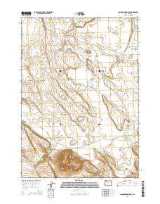 Iron Mountain Flat 2014 topographic map thumbnail