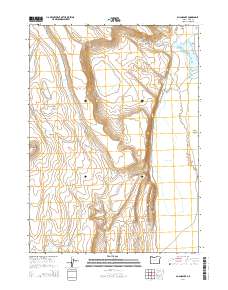 Guano Lake 2014 topographic map thumbnail