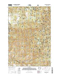 Magone Lake 2014 topographic map thumbnail