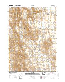 Hickey Basin 2014 topographic map thumbnail