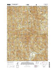 Illahe 2014 topographic map preview