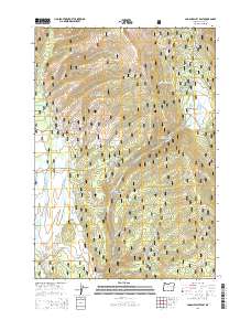 Logan Valley East 2014 topographic map thumbnail