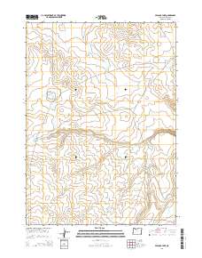 Peacock Lake 2014 topographic map thumbnail