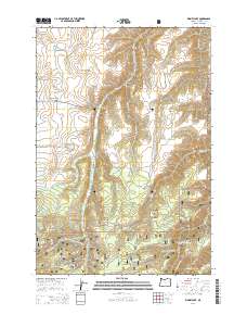 Kinney Lake 2014 topographic map thumbnail