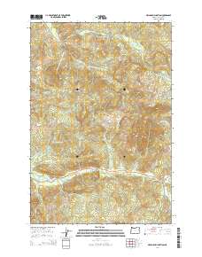 Necanicum Junction 2014 topographic map preview