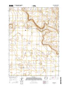 Lane Lake 2014 topographic map thumbnail