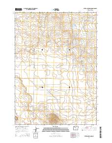 Peters Creek Sink 2014 topographic map thumbnail