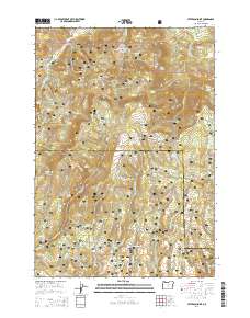Peterson Point 2014 topographic map thumbnail